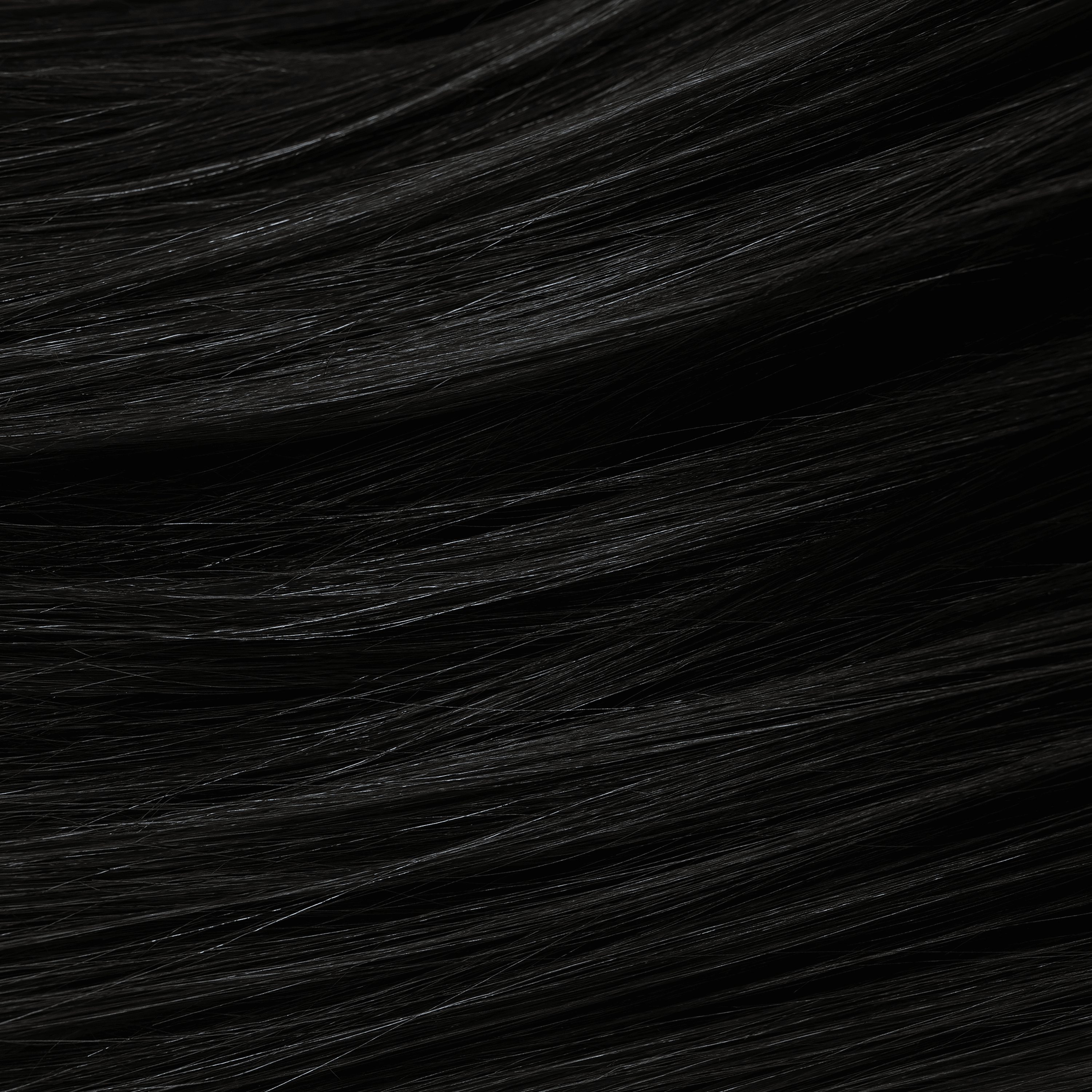 Black| 3N Corato