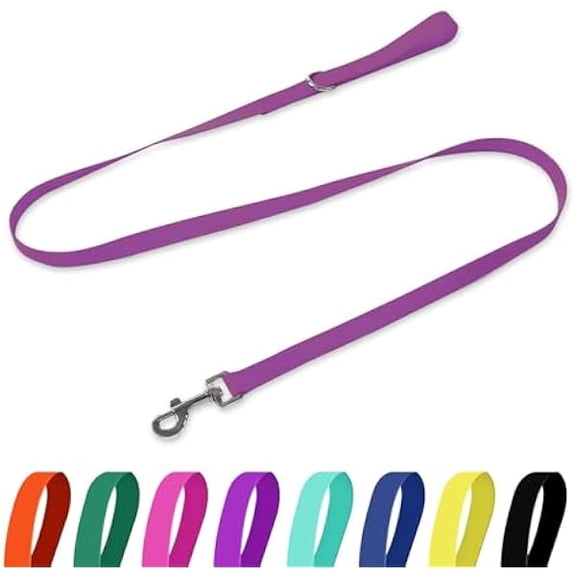 Eryueer Waterproof Dog Leash, 5/6 FT Durable Odor-Proof Dog Leashes with Strong Metal Hooks Fits Small Medium or Large Dogs (Purple, 6FT - 1 inch Width)