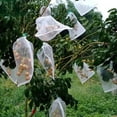 thumbnail image 4 of Homerr Fruit Tree Netting Bag Tree Netting Bag Large Fruit Tree Netting with Zipper | Bird Proof Garden Net Plant Cover, 4 of 8