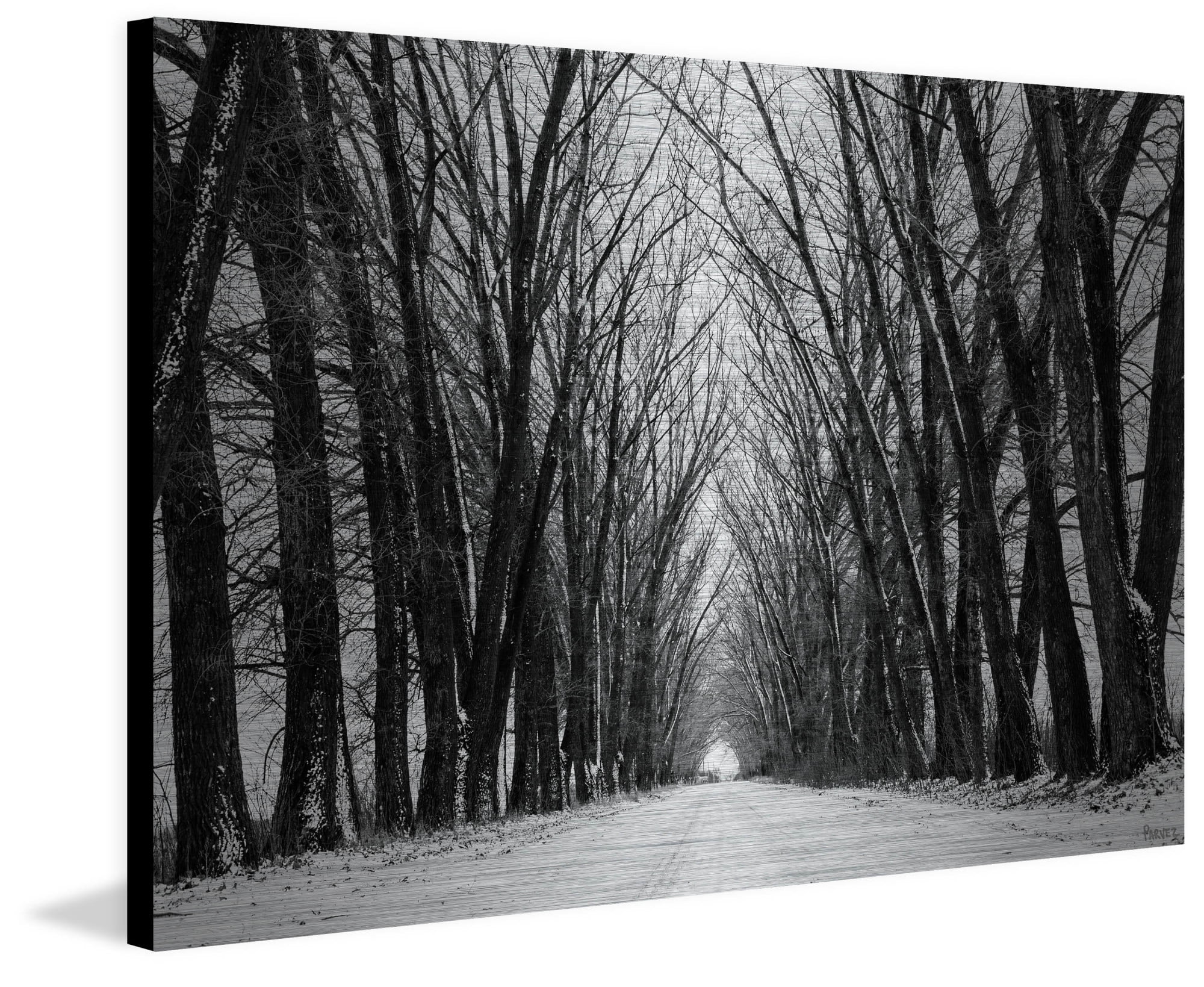 Parvez Taj "Rows of Trees" Painting Print on Brushed Aluminum