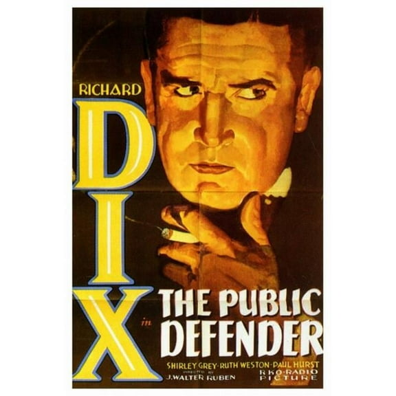 The Public Defender Movie Poster Print (27 x 40)
