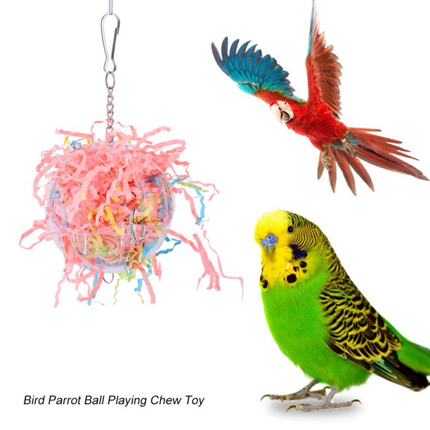 Hanging parrot price picture