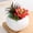 Succulent - Red, variant on 1PCS Mini Artificial Succulent Plants, Fake Succulent Arrangements in White Ceramic Pots, Faux Potted Greenery for Home, Office & Desk Decor