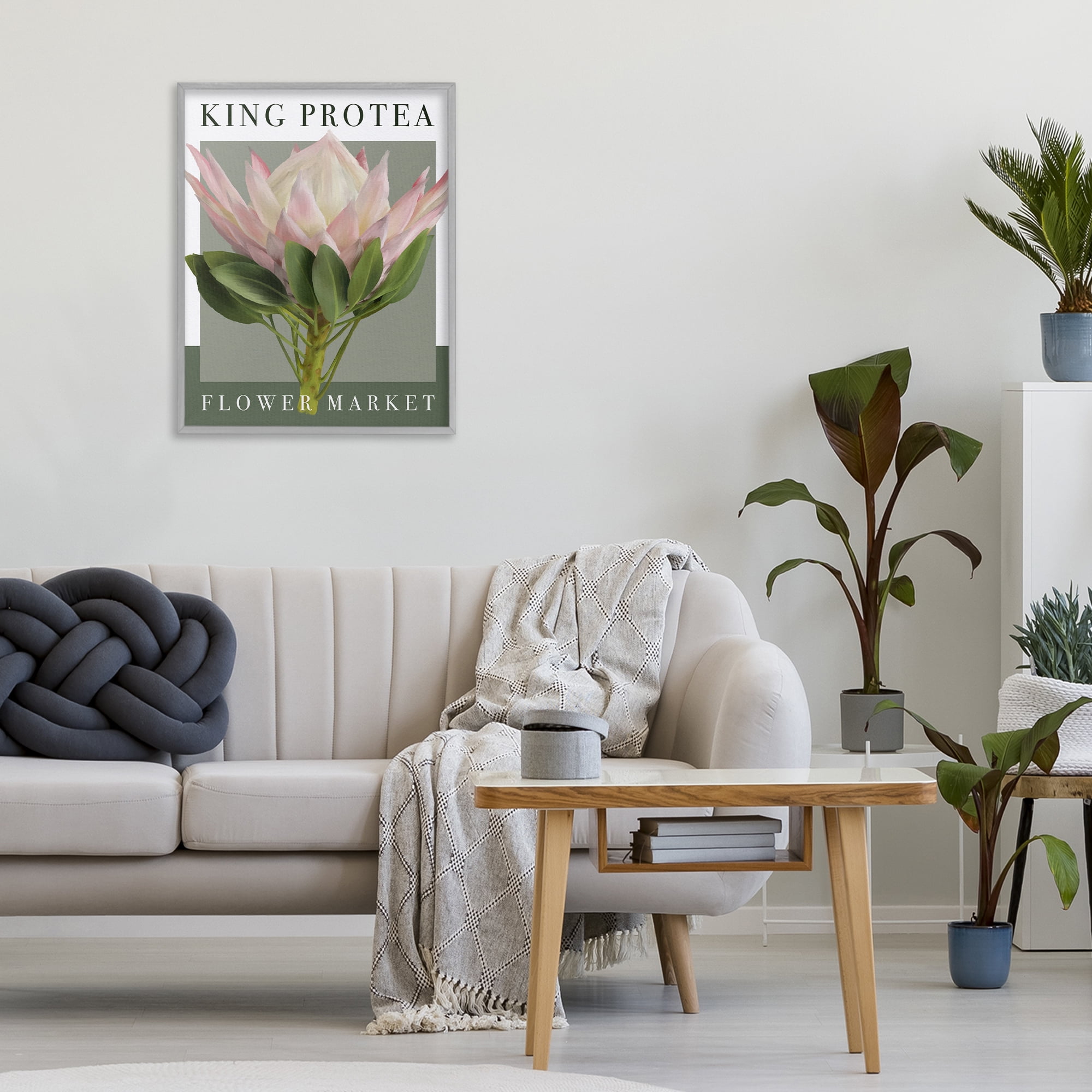 Stupell Industries King Protea Flower Market Gray Framed Giclee Art, design by Jennifer Stith