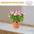 thumbnail image 5 of 10pcs Plant Saucer Plastic Plant Pot Tray Round Plant Drip Tray Heavy Duty Plant Saucers, 5 of 6
