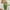 Green, variant on WXLWZYWL Fall Savings Clearance Deals Vintage Patchwork Cocktail Bodycon Dress Formal Pencil Party Midi Dresses Long Sleeve Office Work Dress