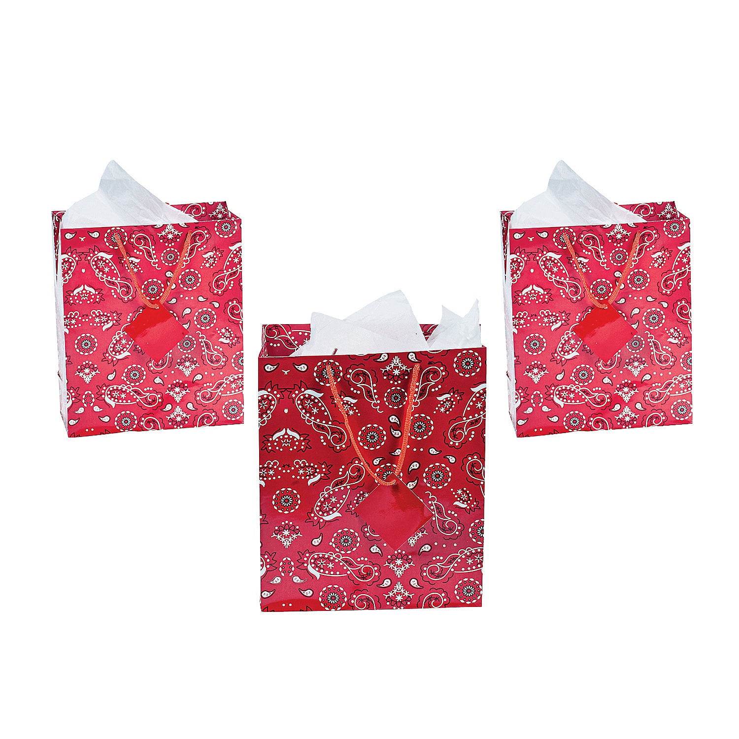 Download Fun Express - Med Red Bandana Gift Bag - Party Supplies - Bags - Paper Gift W & Handles - 12 ...