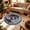 E, variant on Cififendec Christmas Round Area Rug, 31.5", Large 3D Visual Illusion Floor Mat with Santa Print Non Slip Base for Fireplace Side Festive Floor Styling