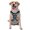 With Accessories, variant on Vsdgher Colorful Underwater Shark Pattern Dog Harness,No Pull Pet Harness with Soft Padded Handle,Adjustable Reflective Vest with 2 Buckles,4 Slide Buckles,S-XL X-Large