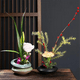 thumbnail image 3 of Kit de Jarrón Ikebana, Jarrón de Cerámica con Forma de Rana, Jarrón de Flores con Forma de Rana para Exhibiciones, Decoración de Plantas Hidropónicas y , Regalo A, 3 of 5