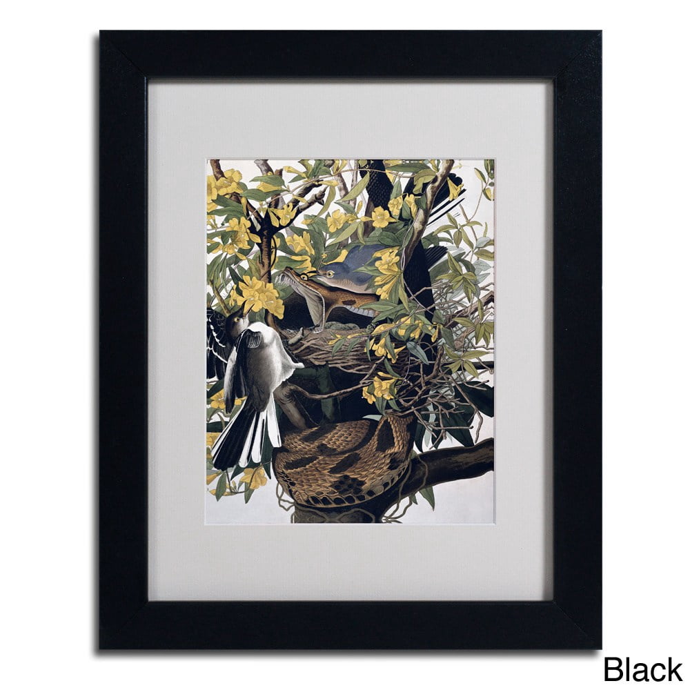 Trademark Fine Art "Mocking Birds and Snake" Canvas Art by John James Audubon, Wood Frame