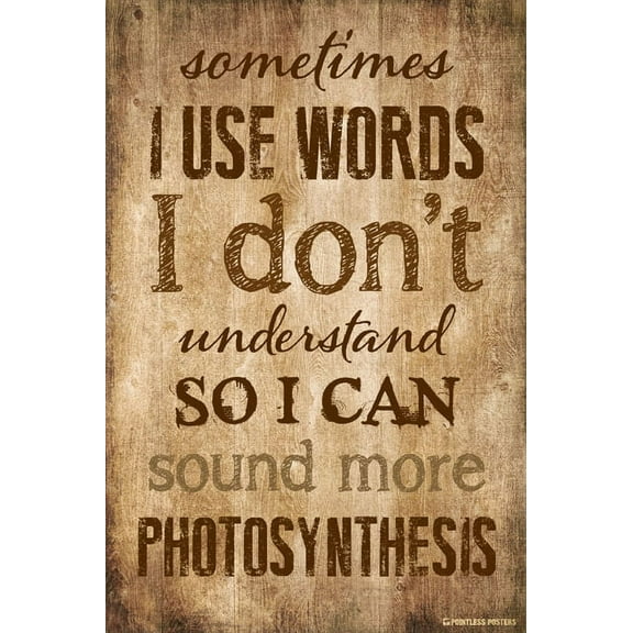 Sometimes I Use Words I Don't Understand Poster Print