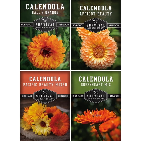 Calendula Seeds 4 Variety Pack – Pot Marigold Medicinal Flowers – Full Sun Annual