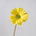 thumbnail image 2 of Artificial Flowers - Household Imitation - Daisy Artificial Flowers Daisies Artificial Daisy Flowers with Stems for Wedding Party Home Decorations, 2 of 9