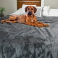 thumbnail image 2 of Lavish Home 80x80 Waterproof Blanket for Kids, Pets, and Outdoors (Gray), 2 of 11