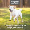 thumbnail image 3 of (6 pack) Nutramax Cosequin for Dogs Joint Health Supplement, Chewable Tablets, 60 Count, 3 of 10