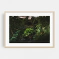 thumbnail image 2 of Garden of Tranquility - Photography Tropical Garden Botanical Aquatic Nature Forest Jungle Unframed Wall Art Print 20 x 28 inches, 2 of 7