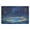 Magical Night Sky with Fish, variant on 32"x20" Door Mat Mat Absorbent & Non-Slip Entryway Rug Washable Floor Mat Dog with Heart-shaped Glasses