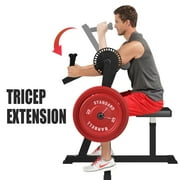 Syedee Bicep Tricep Preacher Curl Machine, Adjustable Seat, 2 in 1 Plate-loaded Preacher Curl Machine for Home Gym