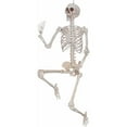 thumbnail image 1 of Way to Celebrate! 5 ft Posable Skeleton Halloween Decoration Prop, 1 of 4