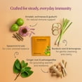 thumbnail image 2 of Dakshin Immunity Herbal Tea with Ashwagandha – Ayurvedic Immune Boost, 16 Bags, 2 of 6