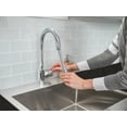 thumbnail image 2 of NewAge Products Coiled Pull-Down Faucet, 2 of 9