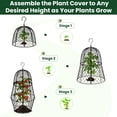 thumbnail image 5 of 4 Pack Plant Protectors from Animals, 4-in-1 Modular Chicken Wire Cloche Cages, Rust-Proof Garden Plant Covers to Keep Squirrel Rabbit Out, Adjustable Height 13" x 11.8" for Outdoor Vegetables, 5 of 6