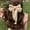 Off-white, variant on Satin Large Bow Hair Clip with Long Tails, Elegant Back-of-Head Updo Accessory-Red