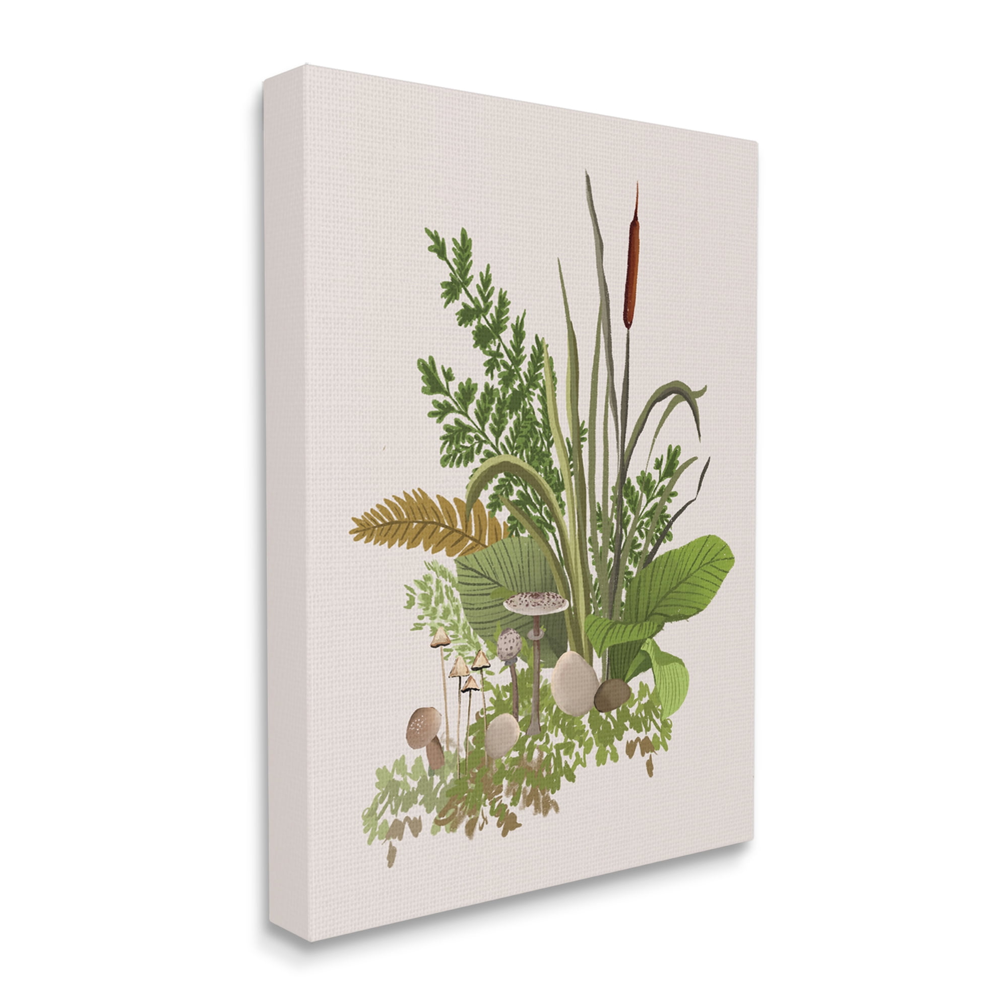 Stupell Industries Varied Nature Botanicals Forest Floor Mushrooms Arrangement Graphic Art Gallery Wrapped Canvas Print Wall Art, Design by House of Rose
