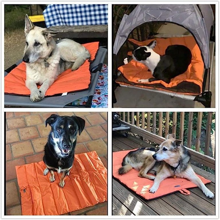 KZ Dotnz Portable Waterproof Dog Sleeping Bag - Rollable Camping Bed For Medium & Large Dogs