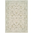 thumbnail image 2 of Hauteloom Amaru Living Room, Bedroom Area Rug - Traditional - Taupe, Off White, Dusty Sage - 5' x 7'5", 2 of 16