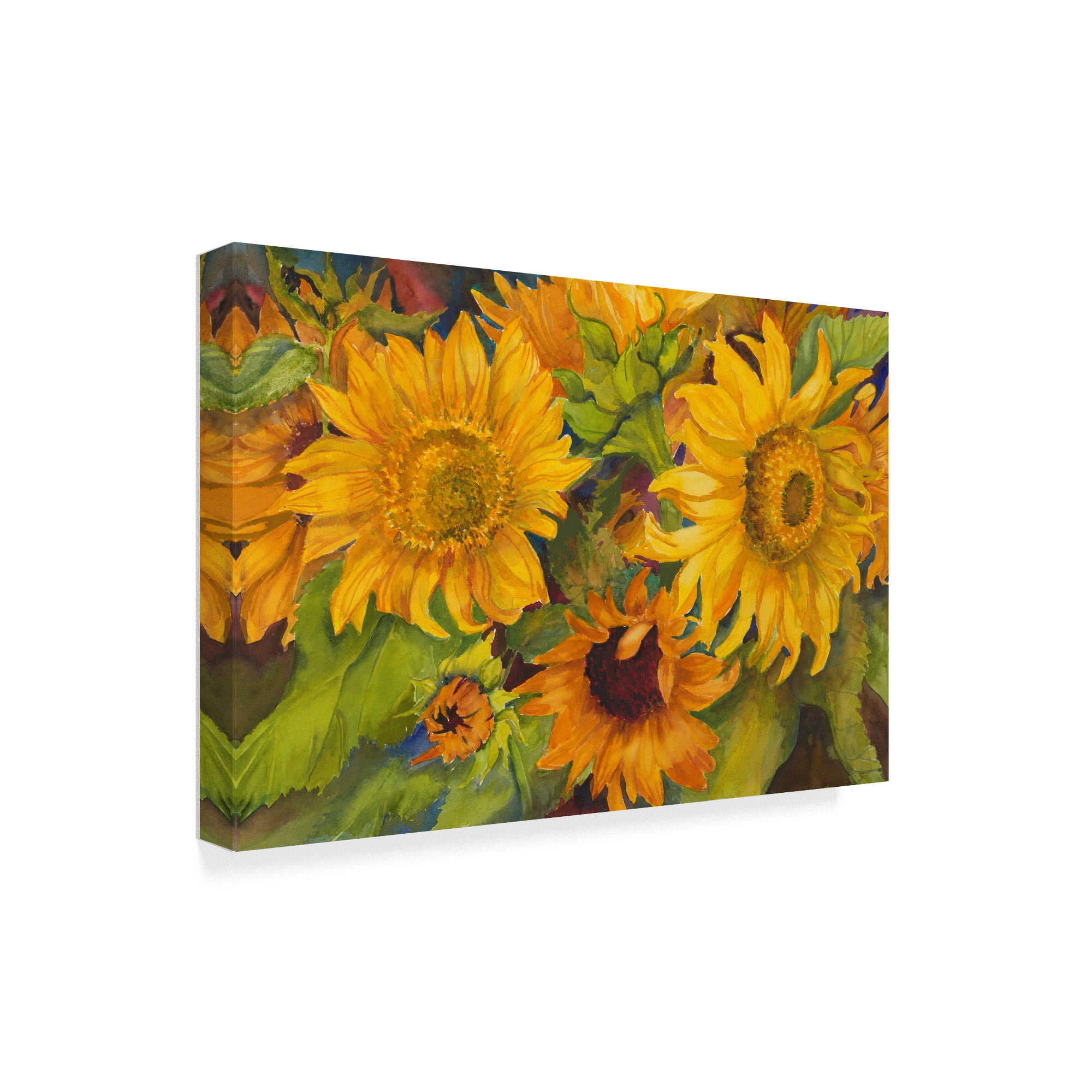 Trademark Fine Art 'Sunny Faces' Canvas Art by Joanne Porter