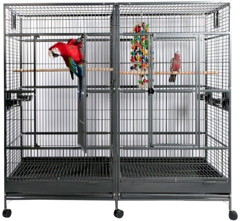 double bird cage for sale