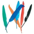 thumbnail image 2 of Touch Of Nature Indian Feathers 12/Pkg-Assorted Colors, 2 of 2