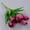 B, variant on 10Pcs Tulips Artificial Flowers Fake White Tulips Faux Flowers Bulk for Vase Centerpieces Home Decor Wedding Bouquet,14"