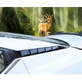 thumbnail image 2 of 2 for Nissan Sentra Sylphy 2020-2024 Black Rear Window Louver Shutter Strip Trim, 2 of 4