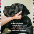 thumbnail image 3 of Pet Life Unlimited Anti-Itch Dog Shampoo with Two-Way Spray, Honey Oat Blossom, 16oz, 3 of 12
