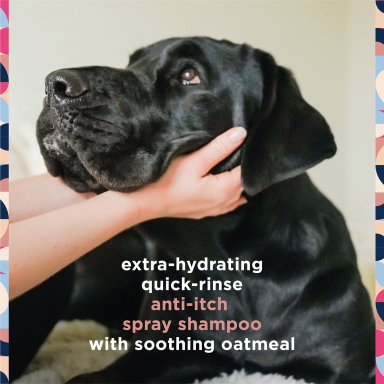 Pet Life Unlimited Anti-Itch Dog Shampoo, Honey Oat 16oz photo 3