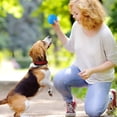 thumbnail image 5 of WD-Forest 2.4" Indestructible Squeaky Dog Chew Ball for Aggressive Chewers Interactive Dog Toys for Teething Relieving Anxiety Outdoor Rubber Balls for Large Medium Breeds, 5 of 6