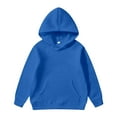 thumbnail image 3 of Kiijoy Toddler Girls Graphic Hoodie Kids Casual Long Sleeve Hooded Sweatshirt, Sizes 1-2, 3 of 3