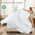 thumbnail image 3 of Bare Home Organic Percale Sheet Set - 100% Organic Cotton - Twin XL, White, 3 of 10