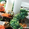 thumbnail image 3 of Boxwood Garland 12' - Home Decor - 1 Piece, 3 of 3