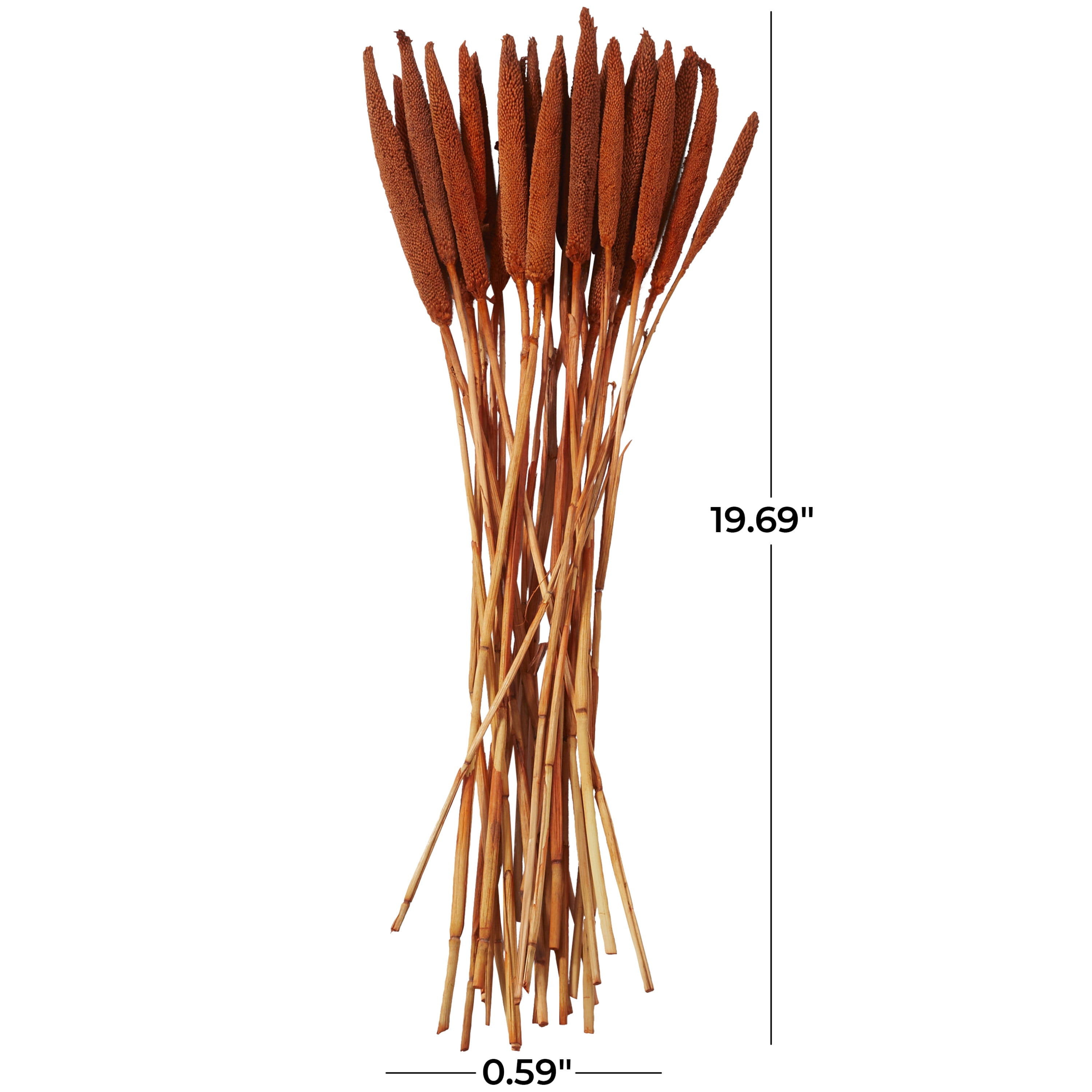 20" Dried Plant Natural Foliage Bunny Tail Bouquet with Long Stems, by DecMode
