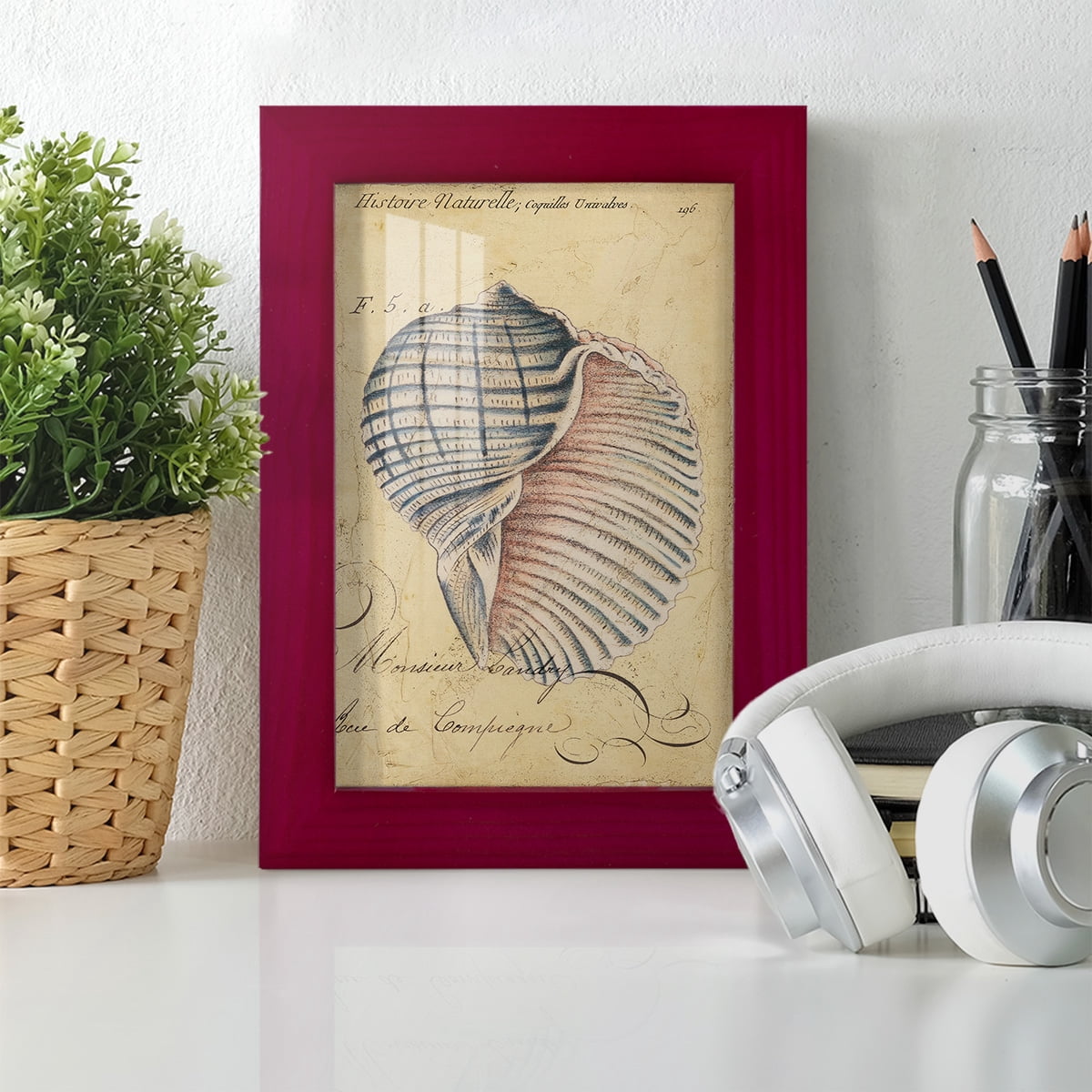 Seashell Ephemera V - Framed Print w/glass - Cherry Red
