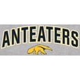 thumbnail image 2 of Men's Ash UC Irvine Anteaters Proud Mascot T-Shirt, 2 of 2