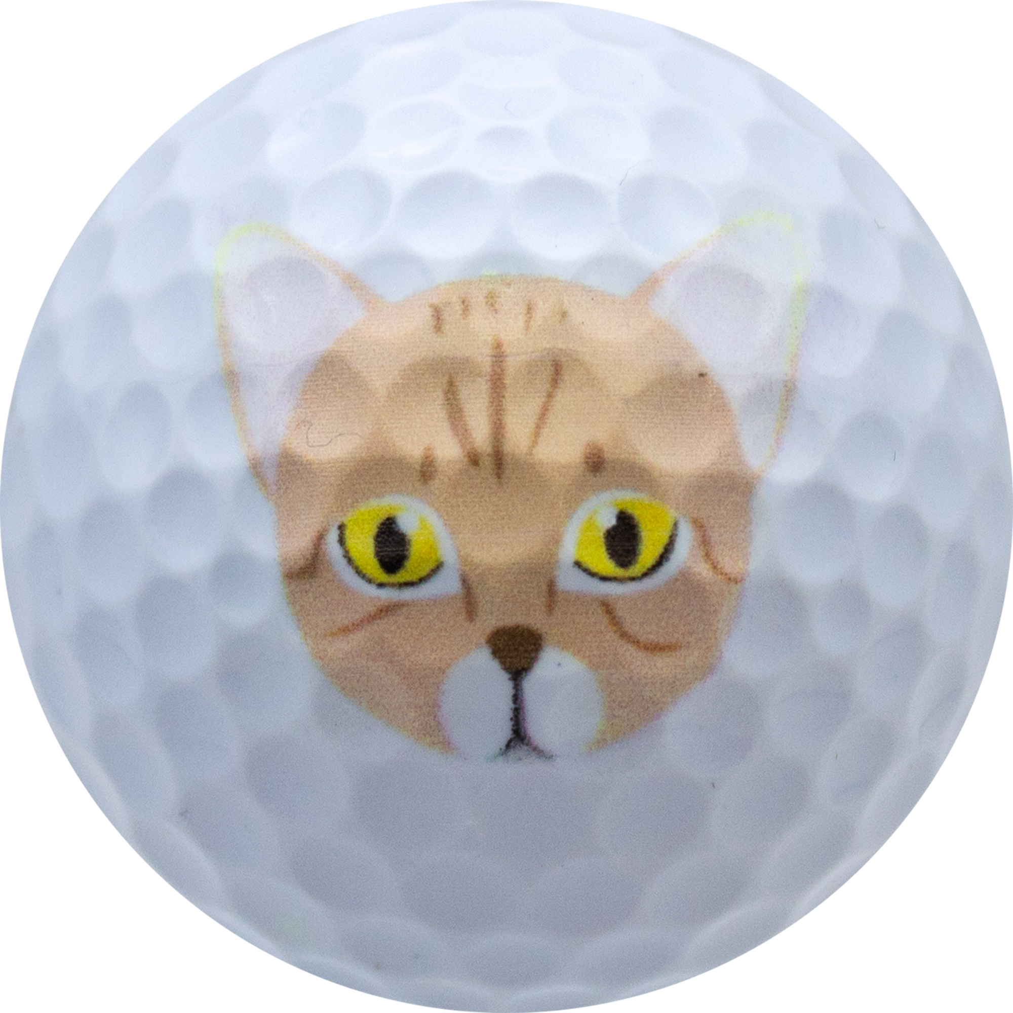 Cat Lover Golf Balls, 12 Pack by GBM GOLF