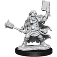 thumbnail image 2 of WizKids WZK75010 Female Dungeons & Dragons Frameworks Wave 1 Dwarf Cleric Miniatures, 2 of 3