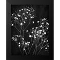 thumbnail image 2 of Bailey, Ann 19x24 Black Modern Framed Museum Art Print Titled - Delicate 1, 2 of 5