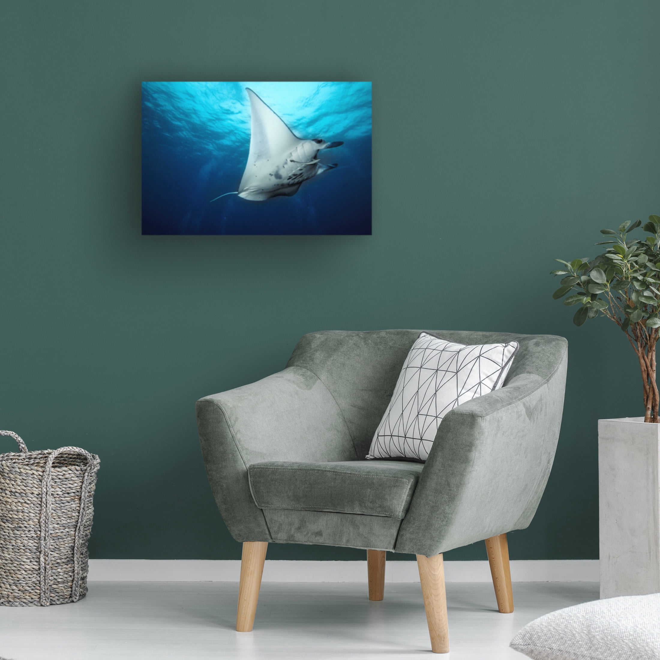 Canvas Wall Art - Roberto Marchegiani 'Manta Fly' Wall Art for Living Room, Bedroom, or Office D?cor by Trademark Fine Art - 19 x 12 Inches