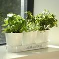 thumbnail image 3 of PERFNIQUE Indoor Herb Garden, Herb Garden Planter for Indoor/Outdoor, Farmhouse Plant Pots, Windowsill Herb Garden Kit with Tray, Window Pots for Indoor Plants (Off White), 3 of 7